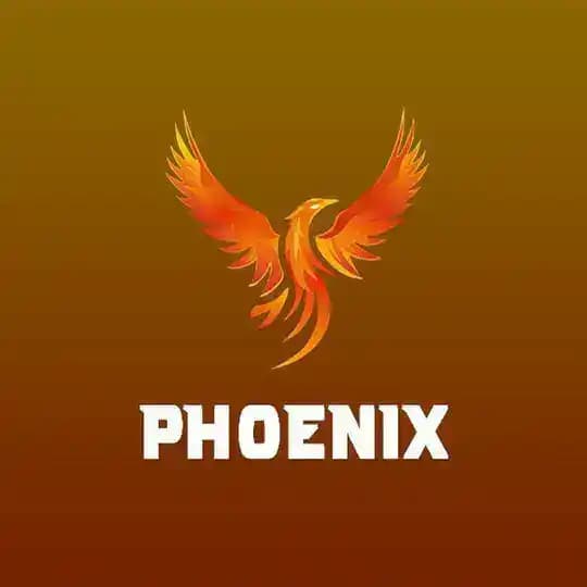 Phoenix 2D3D Channel