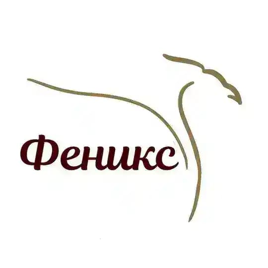 "Феникс" Общественная некоммерческая организация