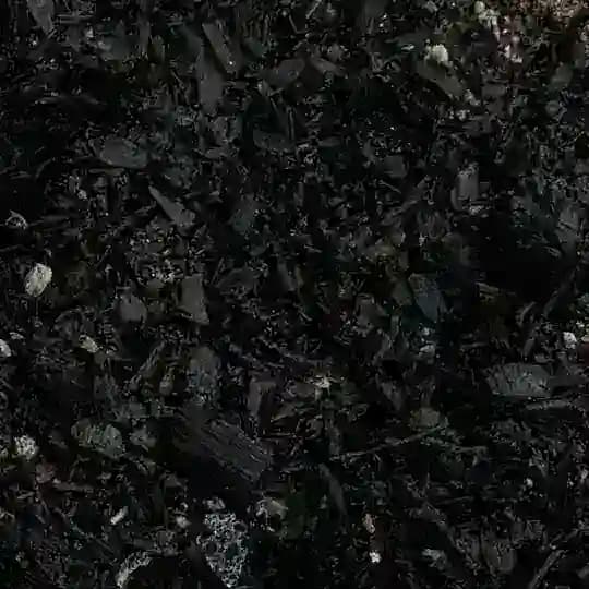 фотограф