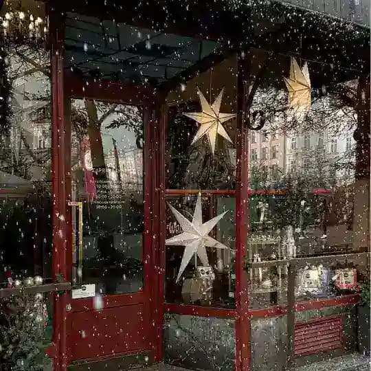 𝘗𝘪𝘢𝘳 𝘧𝘳𝘰𝘮 𝘯𝘢𝘵𝘪𝘷𝘦 (𝘢𝘥𝘦𝘭𝘦) ✨
