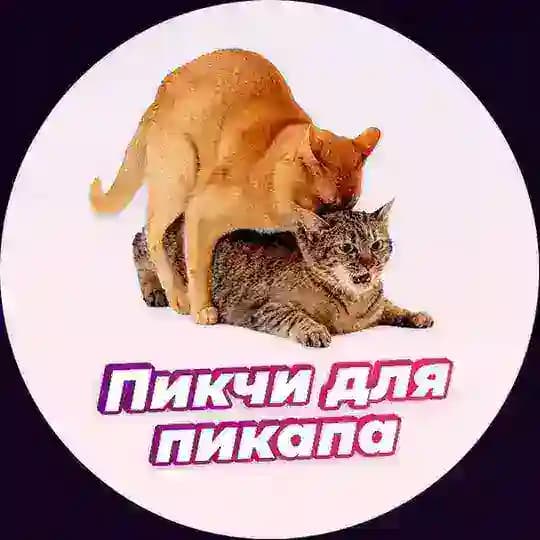 Пикчи для пикапа