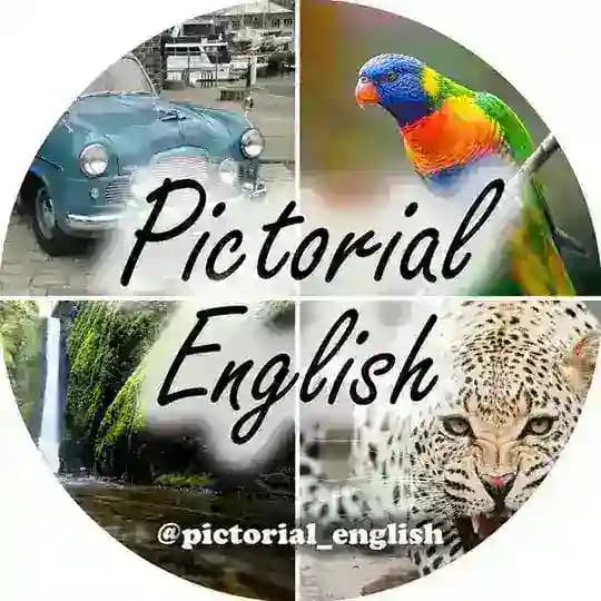 💥Pictorial English💥