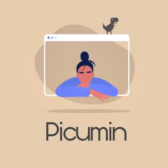 Picumin Servers