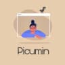 Picumin Servers