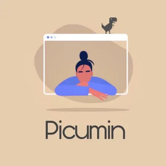 Picumin Servers (2)