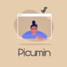 Picumin Servers (2)
