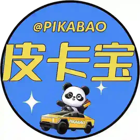 皮卡宝