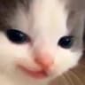 Pikylalas