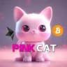 PinkCat Holding Channel