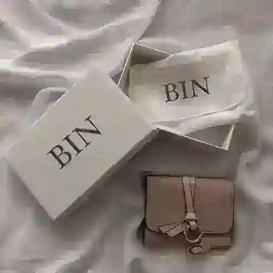 BIN