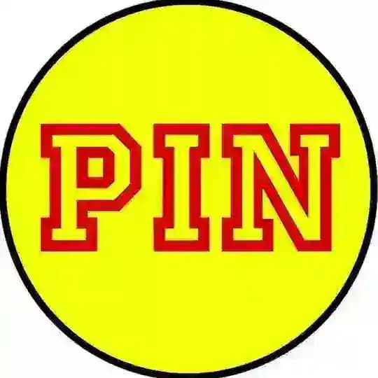PinPin Translate Vlog 2