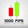 1000PIPS BUILDERS(FREE FOREX SIGNALS)