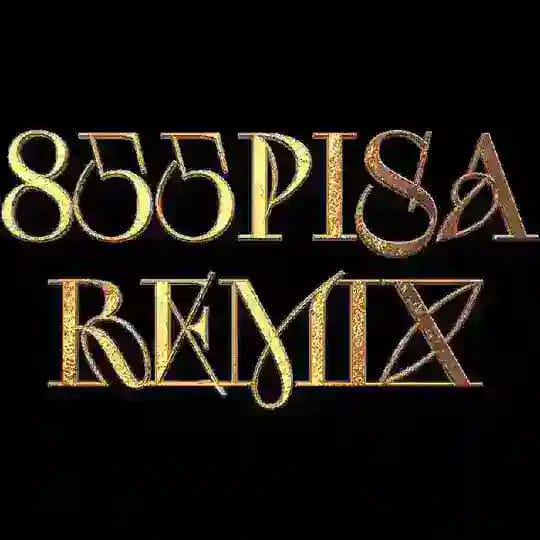 855PISA.REMIX🪩