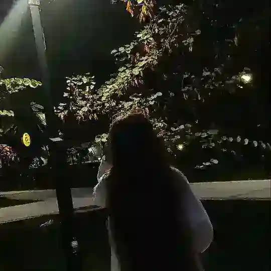 پـلاکـ ۱۷؛