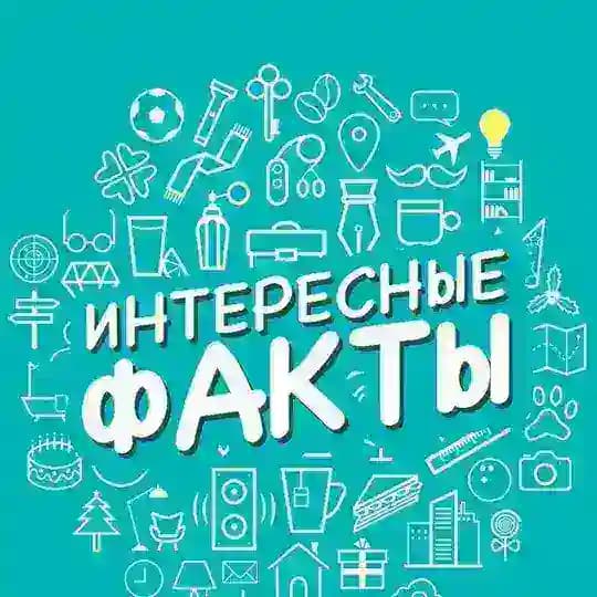 ФактЫч