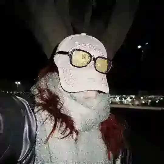 68 собак.
