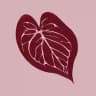 Plantathai | Plantatherapy shop | антуриумы и редкие растения