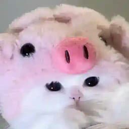 ੭୧ 🐰 ♡ archive mlbb. ꒱ ׅ ׂ Profile