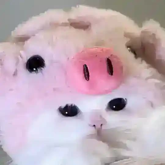 ੭୧ 🐰 ♡ archive mlbb. ꒱ ׅ ׂ Profile