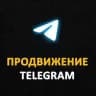 TG PROдвижение