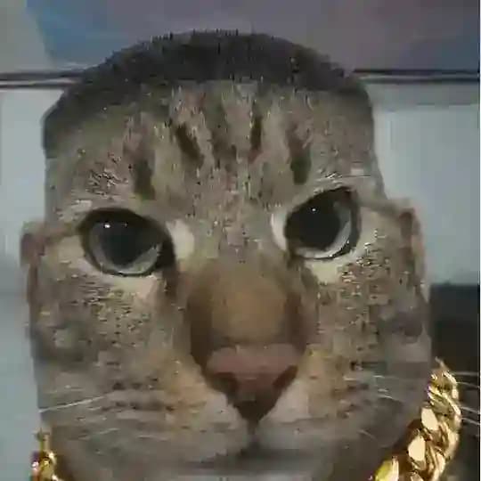 дую