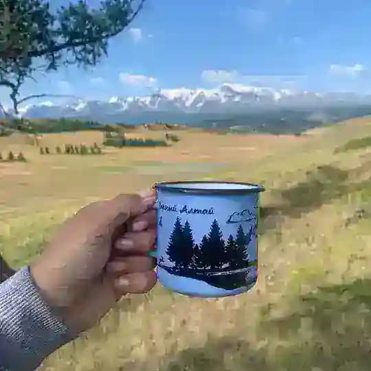 Поеhали