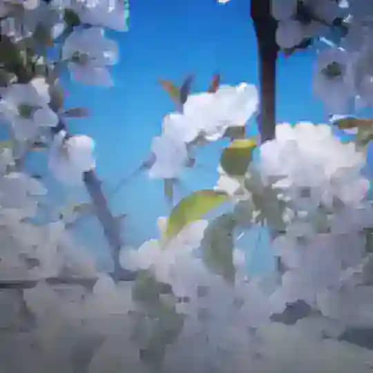 Поэзия души
