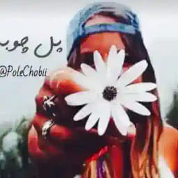 💎پُـــل چــــوبـي💎 Profile