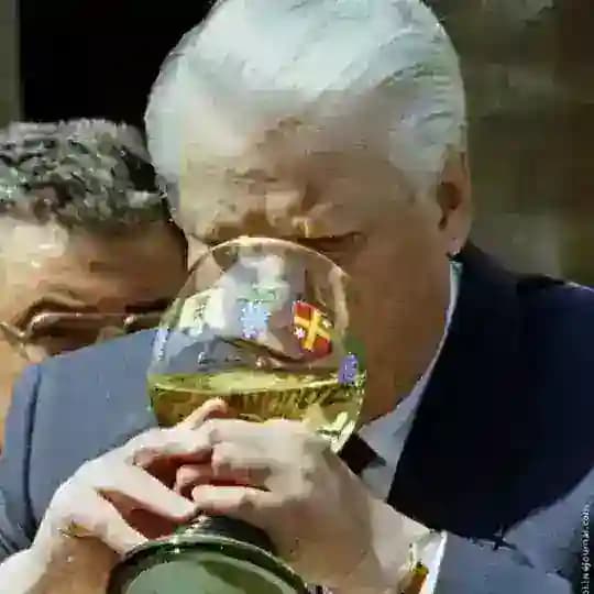 политики бухают каждый день Profile