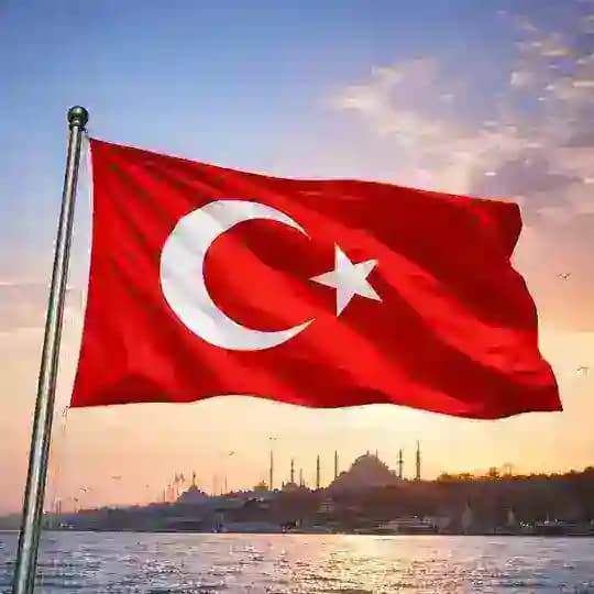 Польза из Турции 🇹🇷