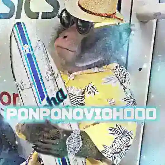 гифки/стикеры с обезьянами пон бибизяны ponponovich000