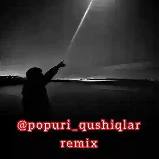 Popuri🎧(remix) Profile