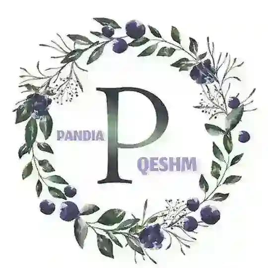 پخش پوشاک پاندیا قشم