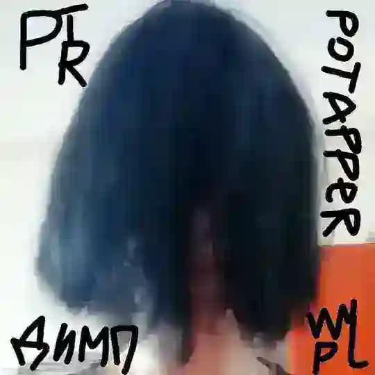 POTAPPER