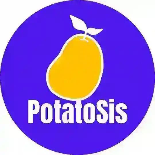 PotatoSis Internships