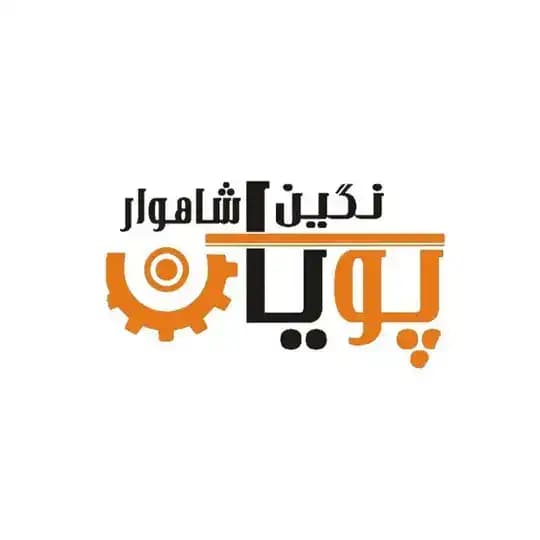 پویان نگین شاهوار / کارافرین