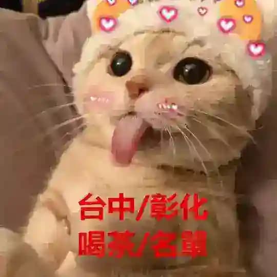 台中妹妹類型及價位喝茶小棧每日更新中ing