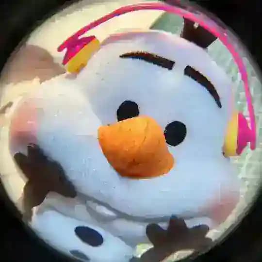 PP bumprib