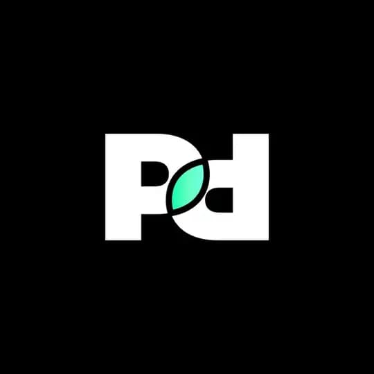 PRDE BAZRGANE Profile