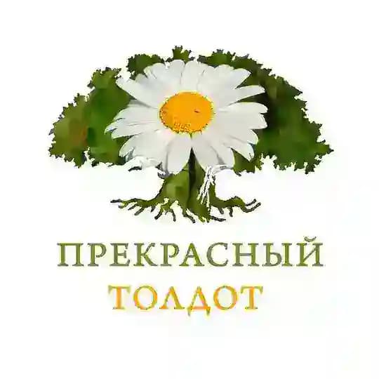 Прекрасный Толдот