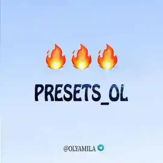 PRESETS_OL | КУРСЫ И ГАЙДЫ БЛОГЕРОВ🔥