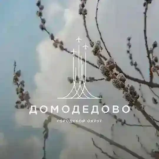 Администрация г. о. Домодедово