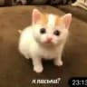 Прайс и отзывы ПОХУДЕНИЕ
