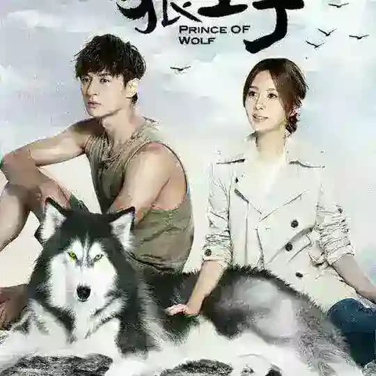 Prince of wolf Profile