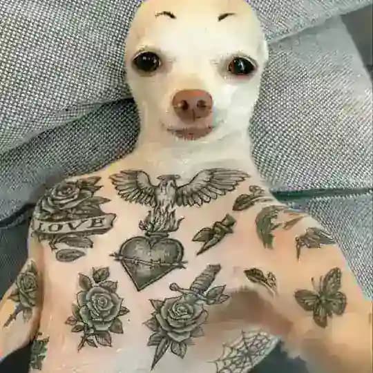 π€ͺπ