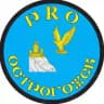 PRO Острогожск | Новости | Афиша