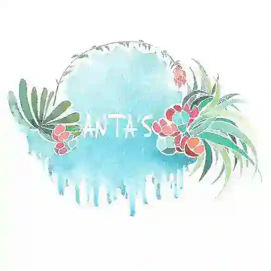 Änta’s / PRO.Änta’s 🙋‍♀️🌿 Растения 🌱 Уход 🙌🏼 Вдохновение 🦕