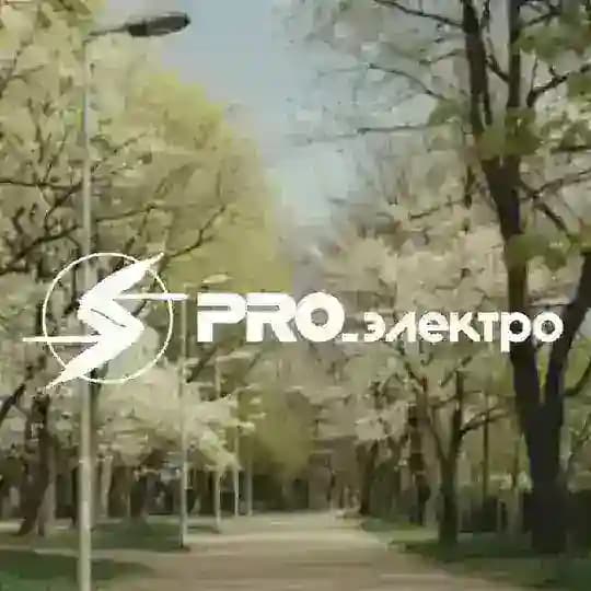 ПРОэлектро