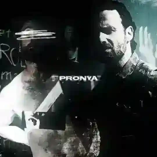 Pronya.xml