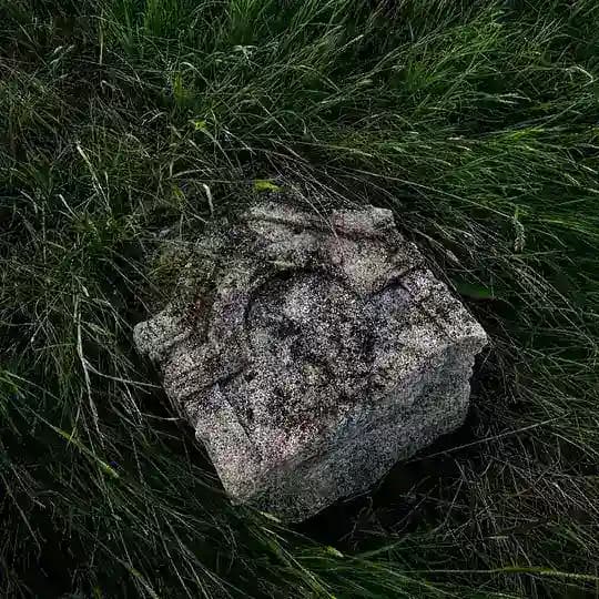 Просто забытое